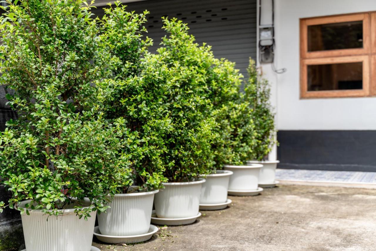Socialer Coliving & Coworking Space Chiang Mai Exterior foto